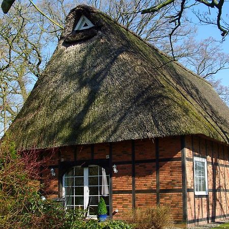 Gaestehaus Eulennest Grossenworden Exteriör bild
